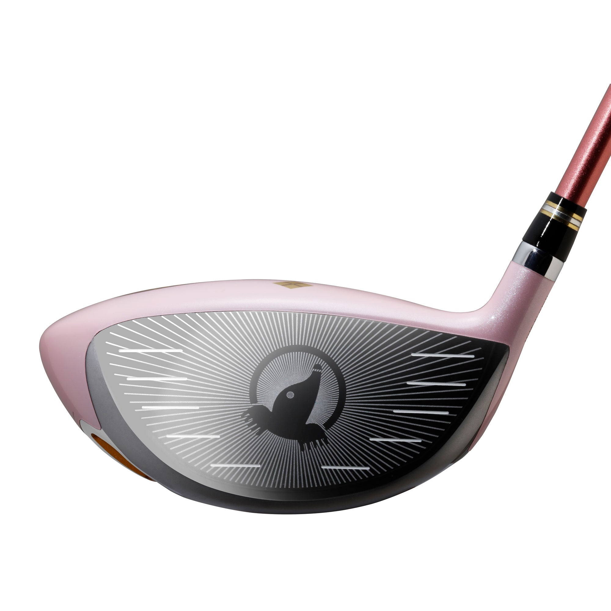 貴重な美品 HONMA BERES 2星 レディース 豪華12本セット ホンマゴルフ